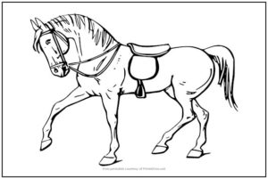 Horse Coloring Page | Print it Free