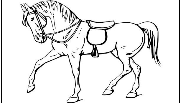 Horse Coloring Page