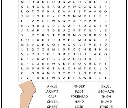 Parts of the Body Word Search Puzzle