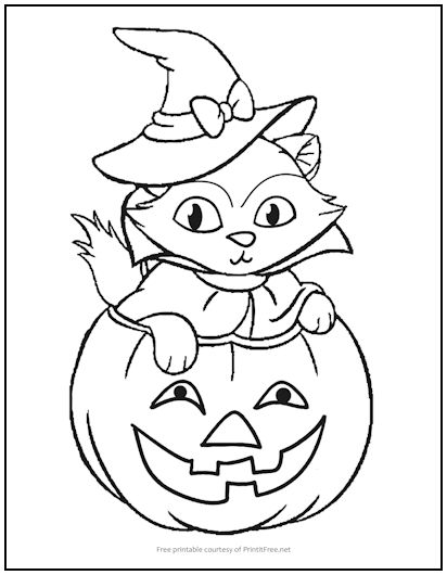 Kitten in Pumpkin Halloween Coloring Page | Print it Free