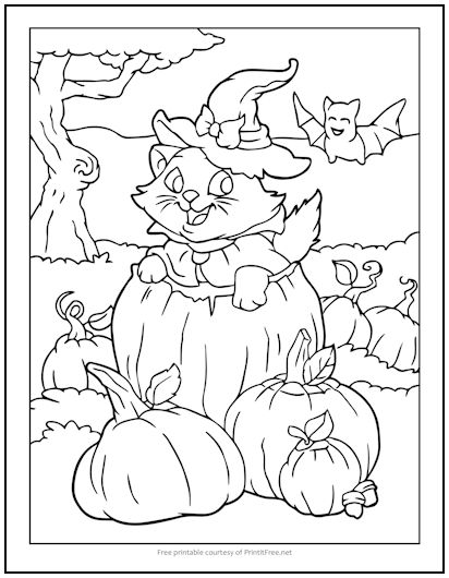 Pumpkin Patch Cat Halloween Coloring Page | Print it Free