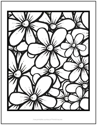Bold Flowers Coloring Page