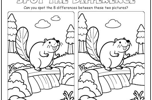 Beaver Dam Spot the Difference Picture Puzzle