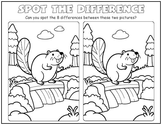 Beaver Dam Spot the Difference Picture Puzzle